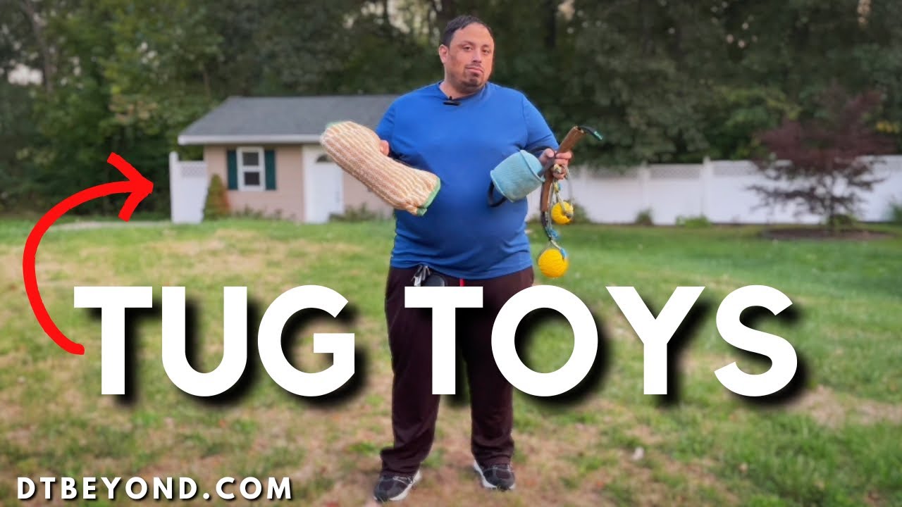The Best Training Toys For Energetic Dogs