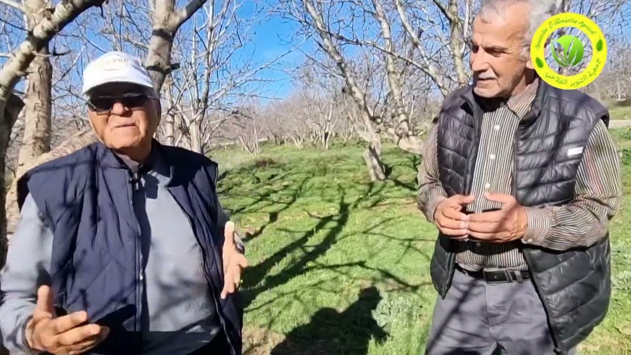 أشجار الكرز (حب الملوك) : معطيات وإرشادات