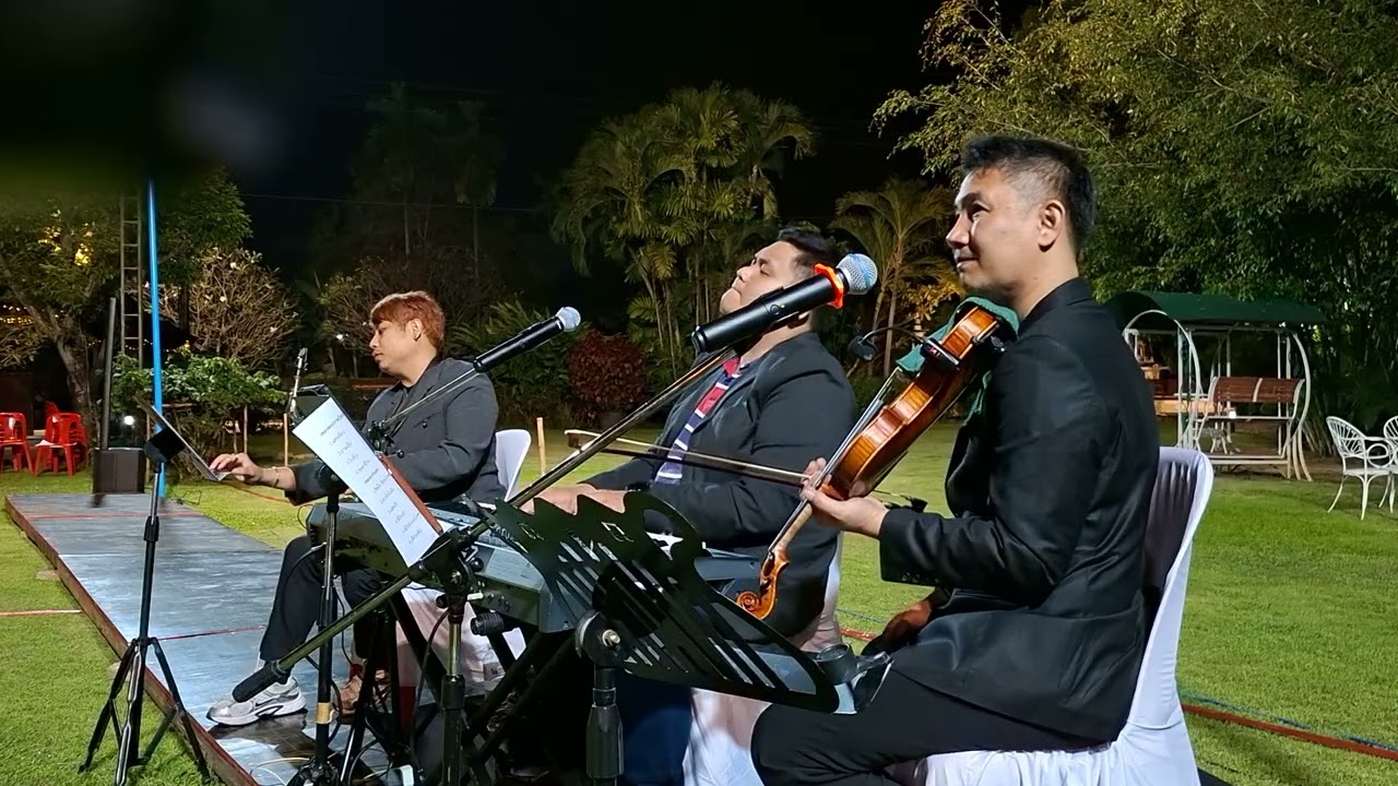 Acoustic Romantic Saxophone Violin Piano เพลงเพราะๆ โรแมนติ บรรเลง EP.2 #livemusic 