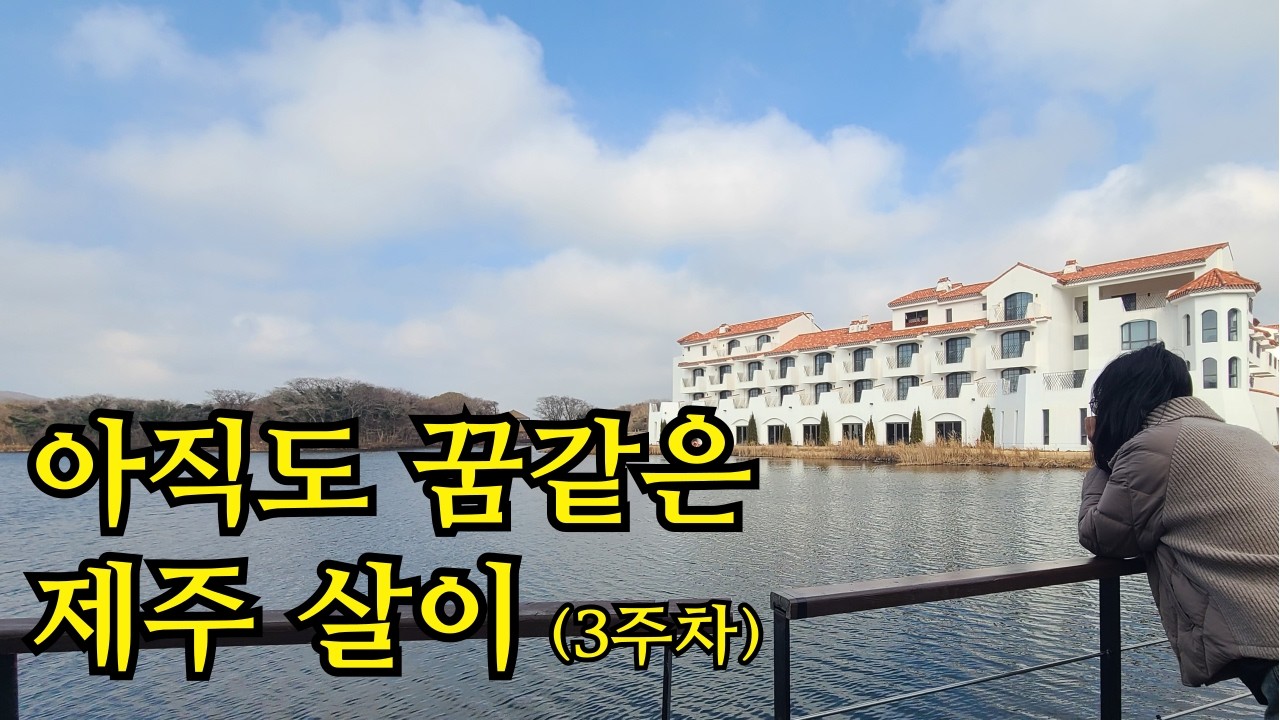 제주생활 이사 3주차 제주일상 4인가족 제주도 여행