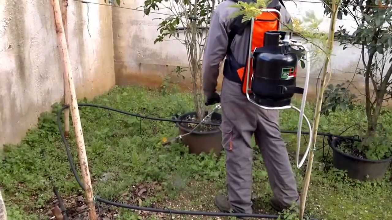 PIRODISERBO