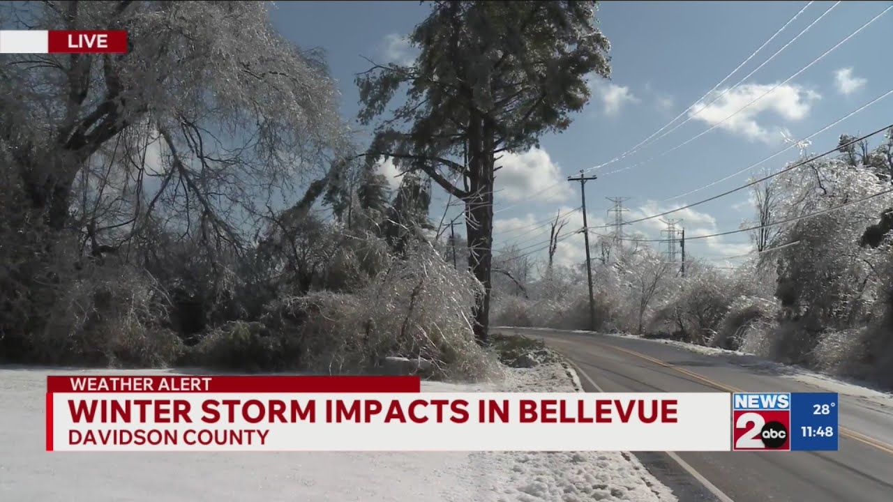 Winter storm continues to impact Bellevue