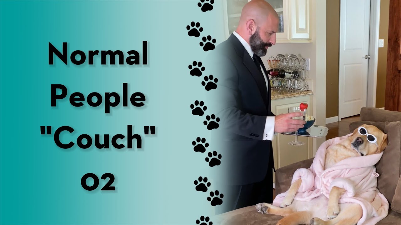 Which type of dog owner are you?
