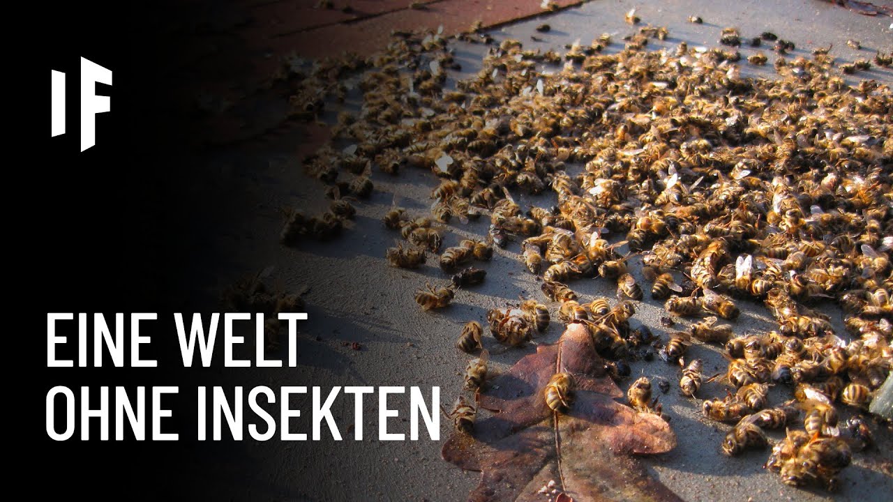 Was wäre wenn alle Insekten auf der Erde aussterben würden?