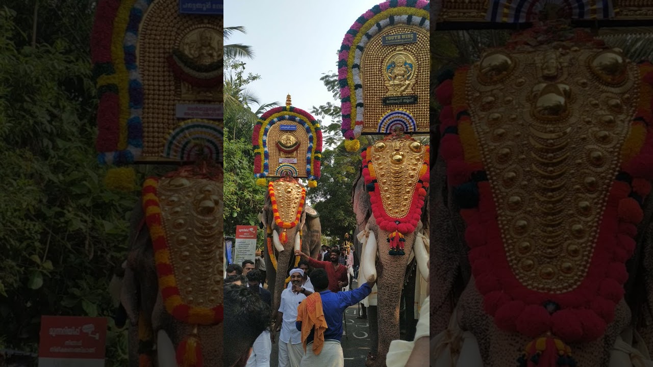 thalapokkam cherpulaserry anadapathmanaban vs mangalamkunnu ayyappan