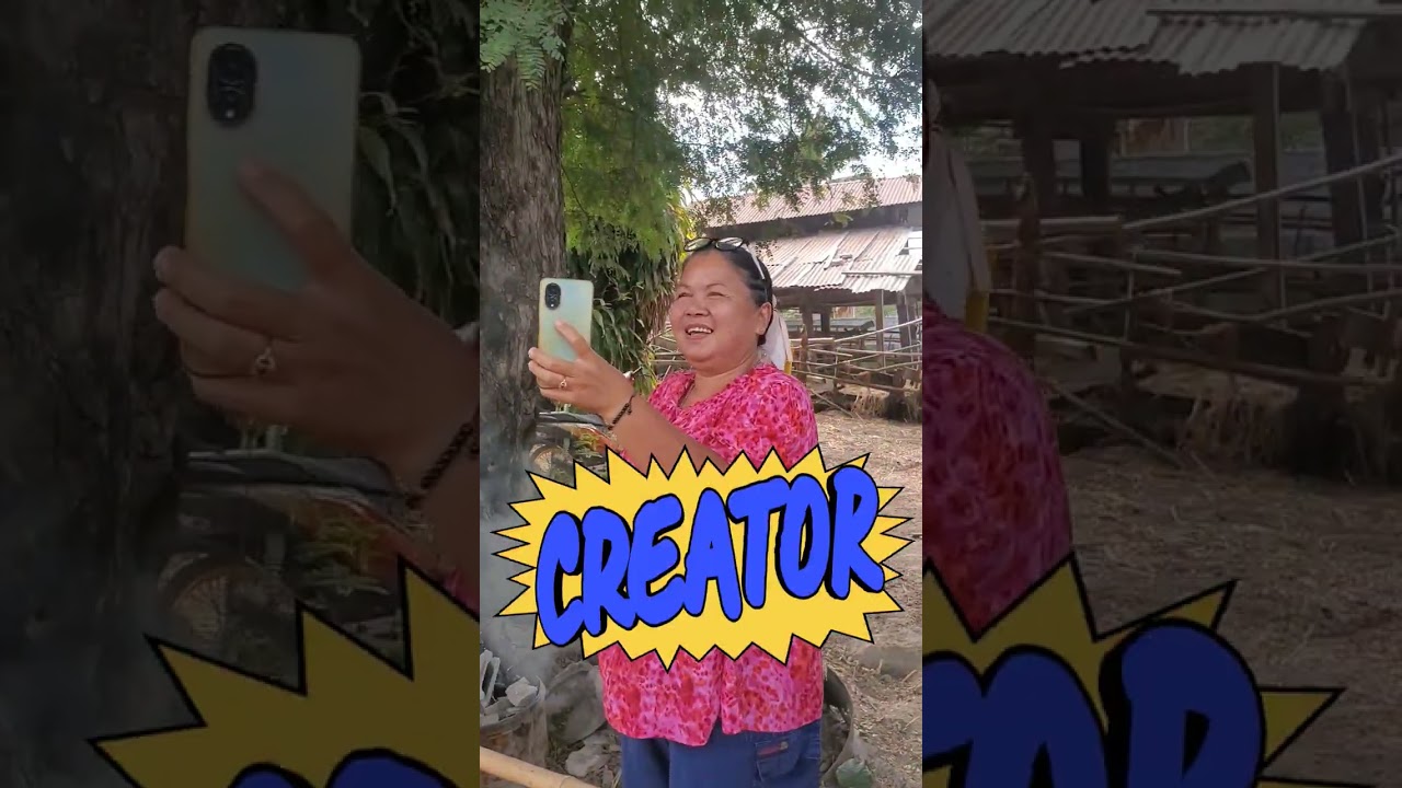 แห่ต้นดอกเงิน