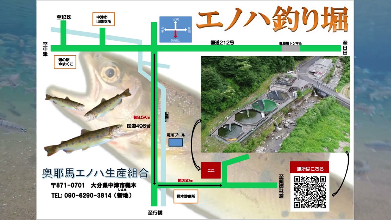 ~渓流魚の釣り堀~　奥耶馬渓エノハ生産組合さんのご紹介　Mountain Stream Fish Fishing Moat