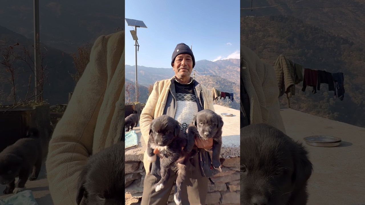 Order कर सकते हैं 