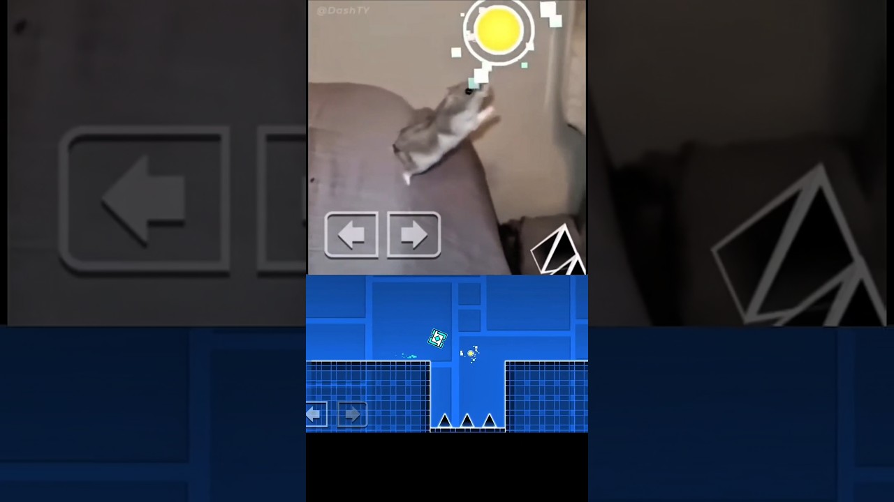 Hamster Funny #geometrydash #shorts #funny