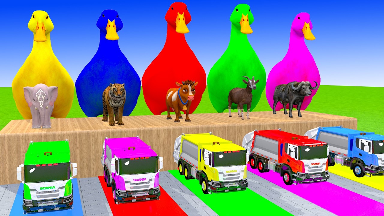 Long Slide Game With Cow Elephant Gorilla Hippopotamus Tiger 3d Animal Game Funny 3d Animals