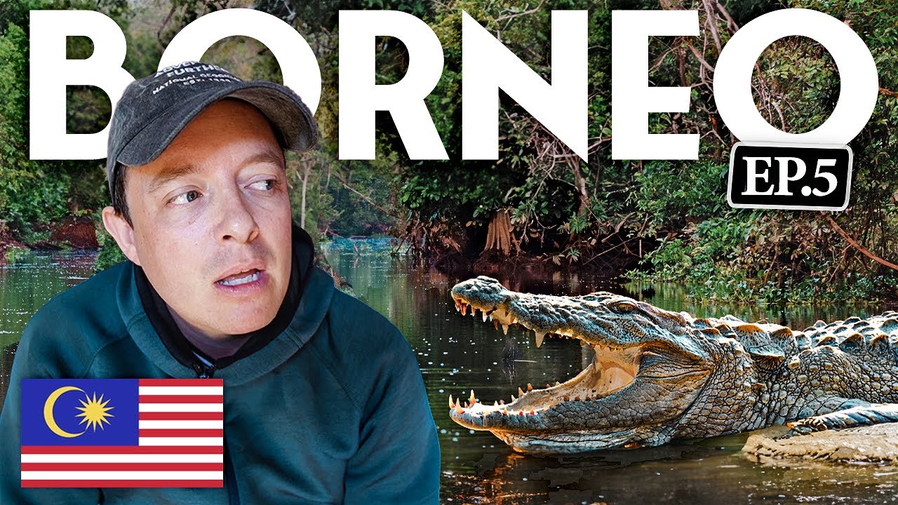 Nature's PARADISE IN BORNEO 🇲🇾 (3 Day Kinabatangan River Cruise)