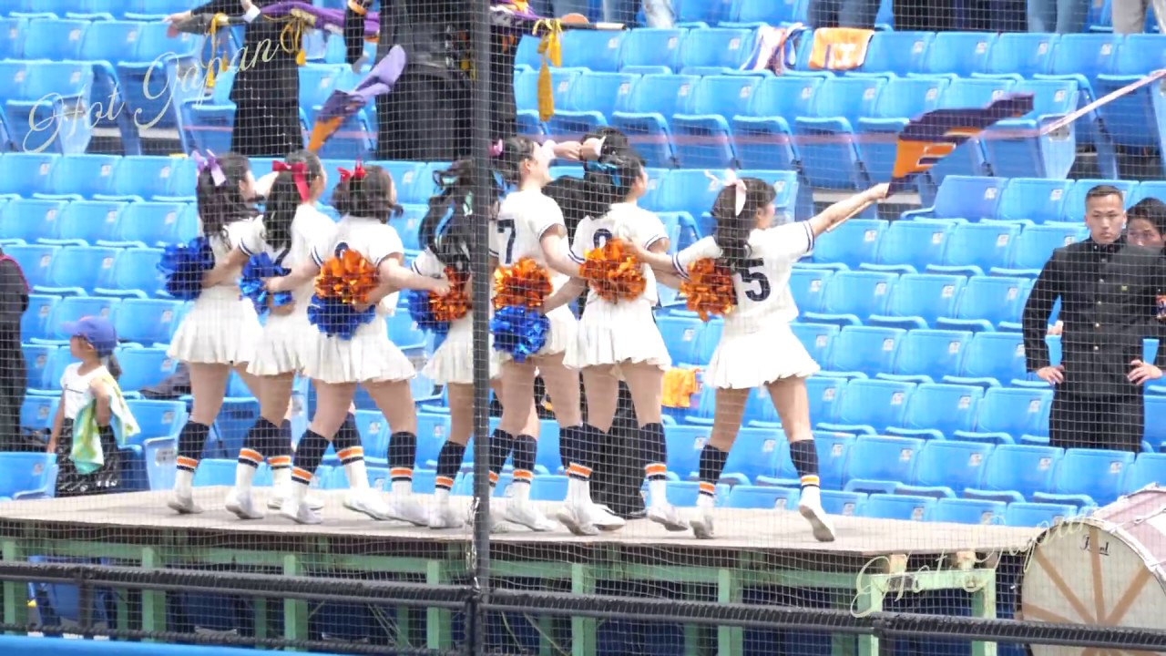 [4K高画質]2019六大学野球チア①｜法政大チア部｜早法戦　神宮に映えるオレンジの蛍光ユニフォーム！