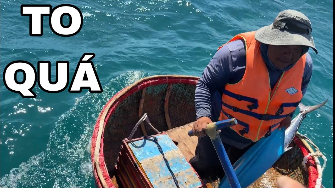 857 ) ÔNG ĐƯỢC MẬP) CÂU ĐƯỢC CÁ THU LƠN , VẬY LÀ CÓ TIỀN TẾT RỒI.