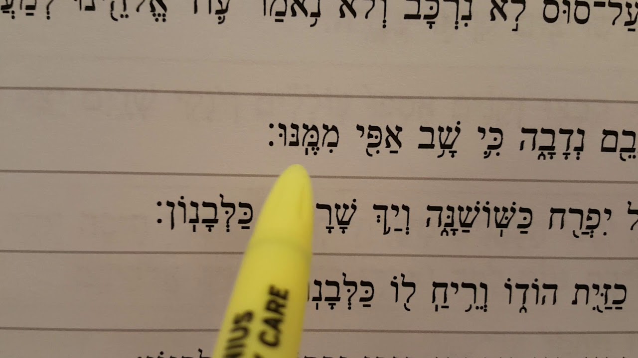 Haftorah Shabbat Shuva - part 1 (Hosea 14:2-10)