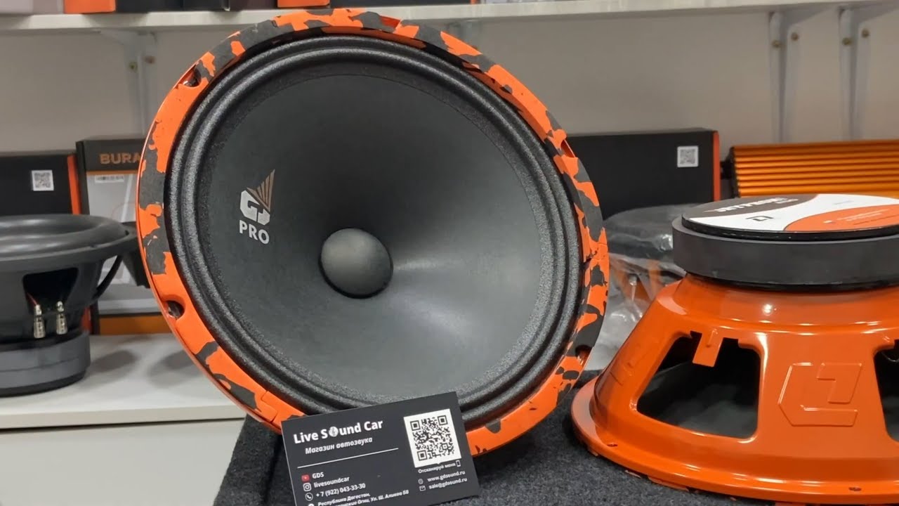 Мощнейшая 25см эстрадная акустика с нереальным панчен. DL audio gryphon Pro 250