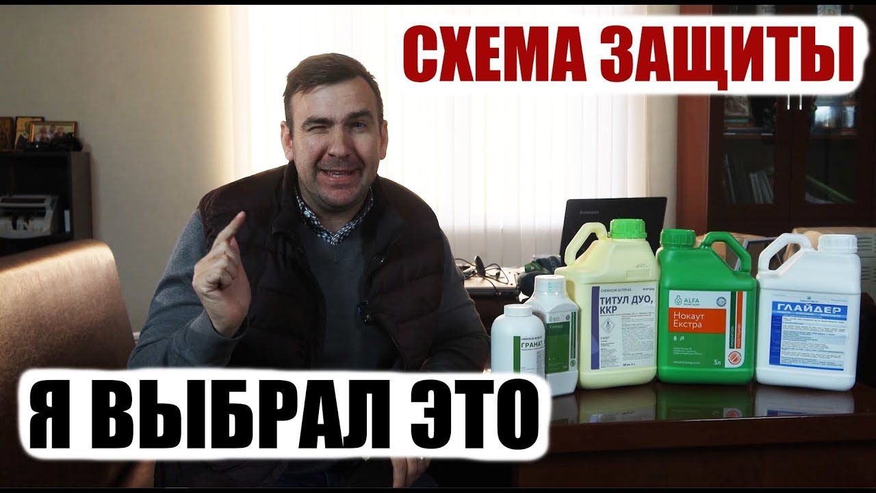 Сорняки победили. Озимые в нокауте. Гербицид, фунгицид, инсектицид, прилипатель