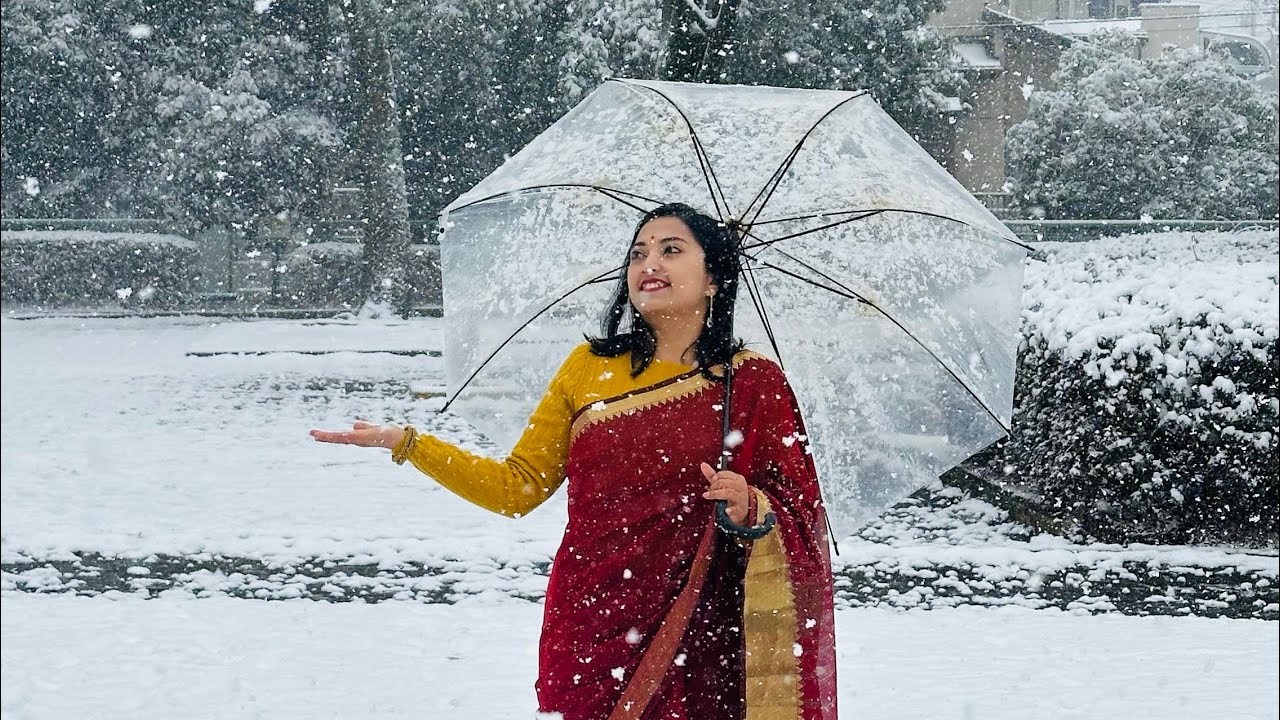 জাপানে একটা স্বপ্নের মতো দিন | যার জন্য অপেক্ষা সারাবছরের | #banglavlog #youtube #vlog #bengalivlog 