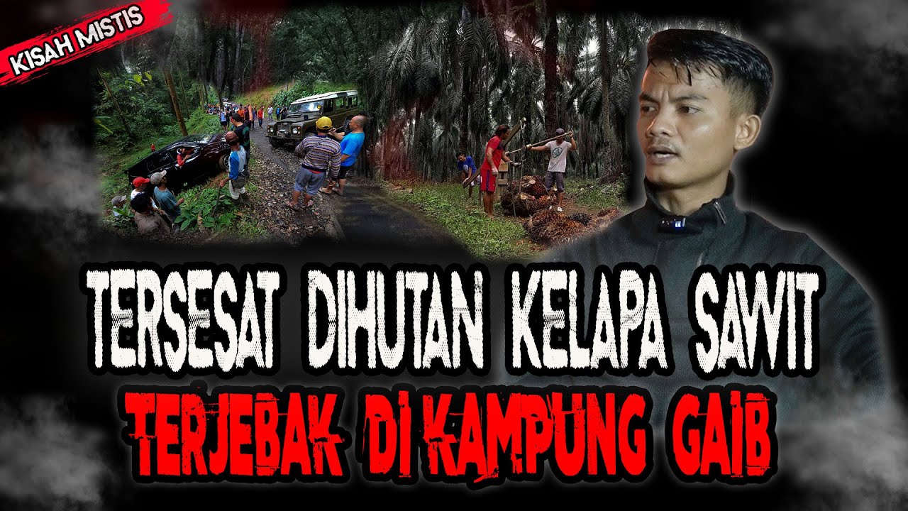 BAHAYA! TERSESAT TIGA HARI DIHUTAN LINTAS SUMATERA,RESIKO TINGGAL DILERENG HUTAN ANGKER!
