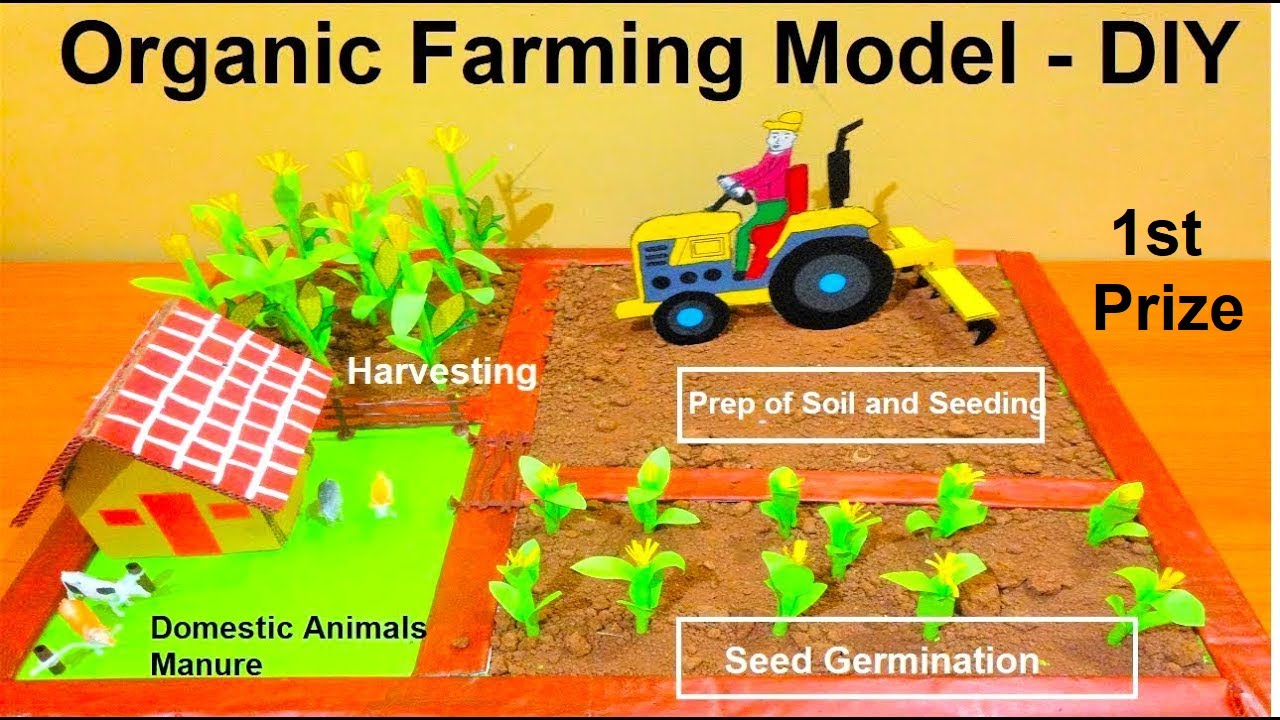 organic farming model making | science project | DIY | Agriculture model | howtofunda