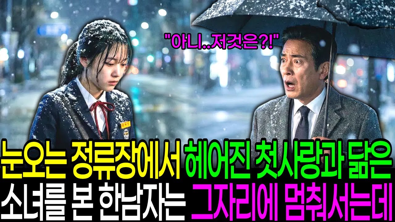 폭설 속 버스정류장, 15년 전 헤어진 첫사랑을 닮은 한 소녀를 본 재벌회장이 그자리에서 멈춰 섰습니다ㅣ노후사연ㅣ감동사연ㅣ사연라디오ㅣ오디오북