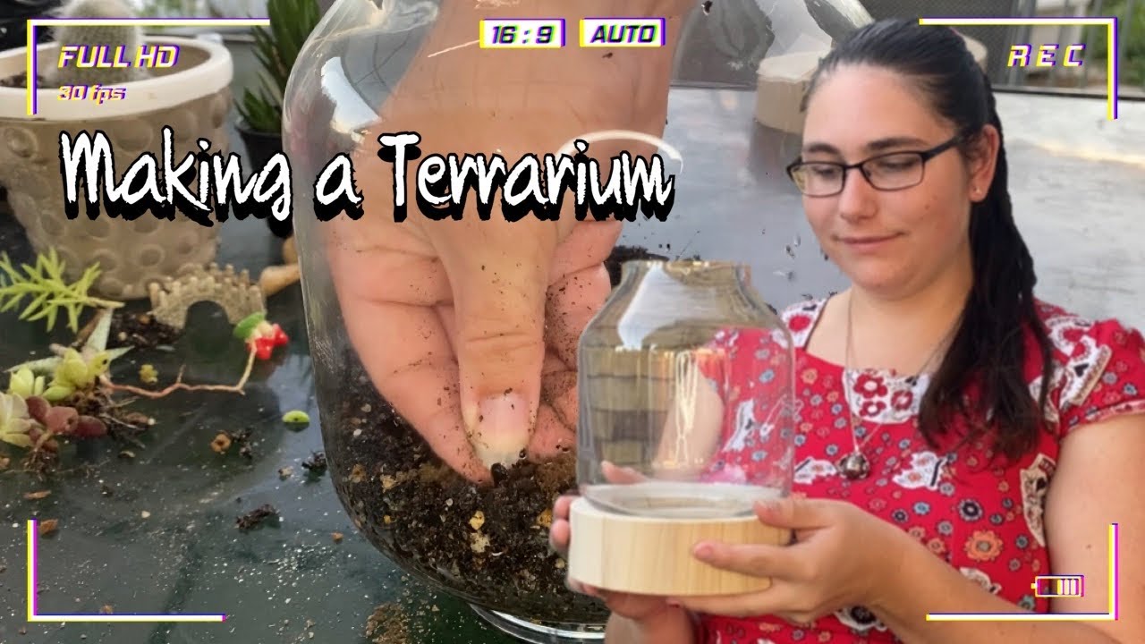 DIY Terrarium l making my first Terrarium ￼