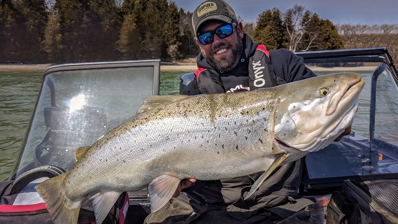Gigantic Brown Trout - In-Depth Outdoors TV Season 12, Episode 19