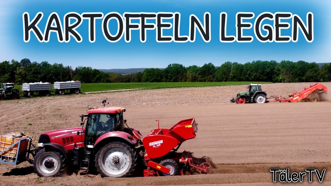 Kartoffeln legen | Puma CVX 225 | Grimme GL 32 B | Fendt Vario 818
