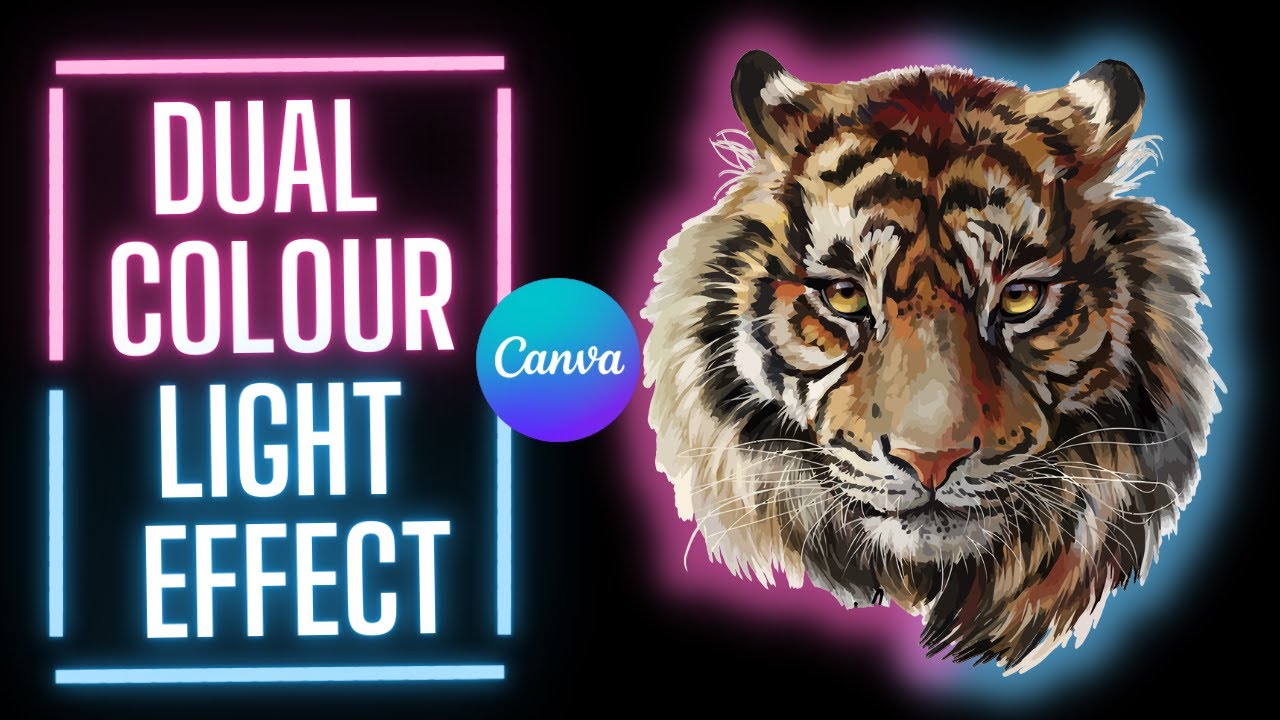 Dual colour light effect in canva tutorial by DLC Ventures India