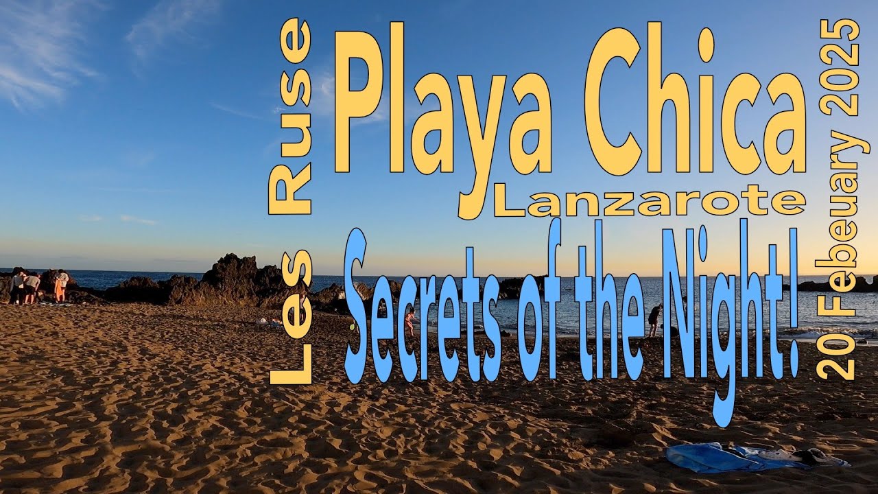 Playa Chica, Lanzarote, Night Dive with Cuttlefish, Octopus
