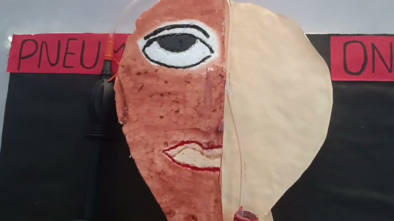 working model on pneumonia| working model on respiratory system