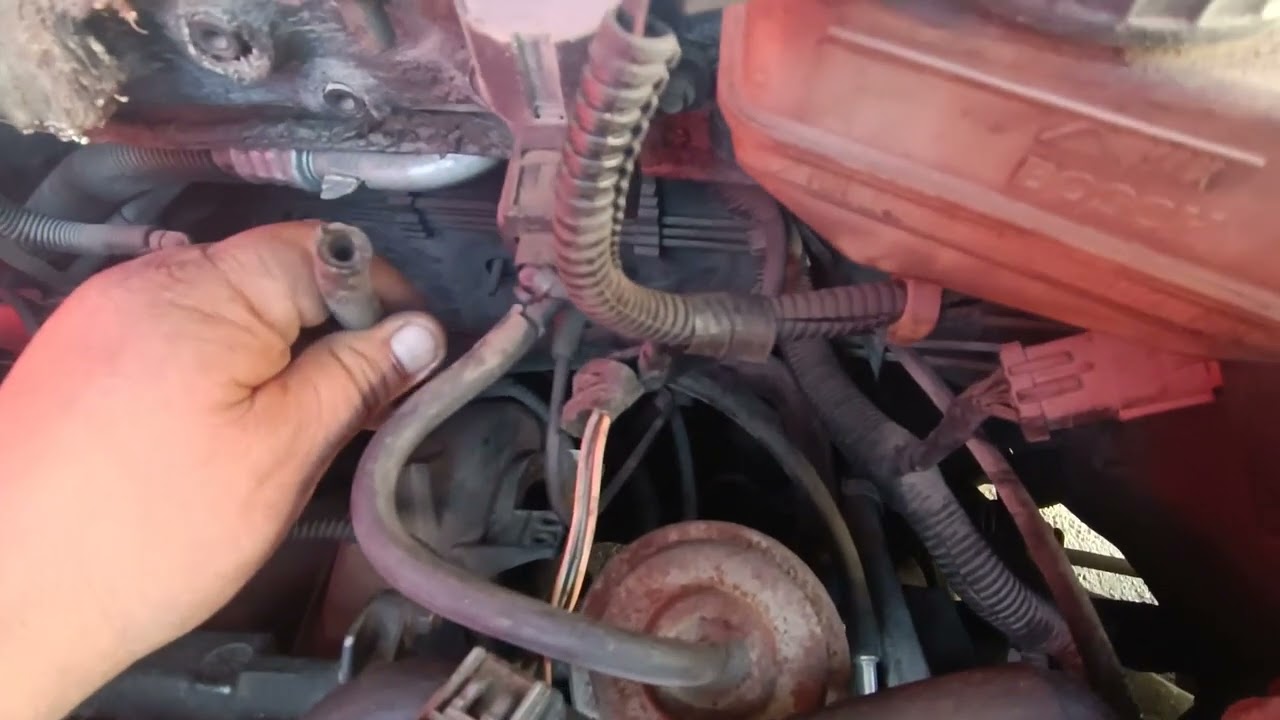 como checar Sensor de Presión Diferencial de la Válvula EGR pdfe ford