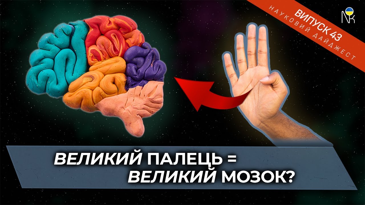 Спільна еволюція мозку і рук, Нічний контроль цукру та Біоархітектура міст майбутнього