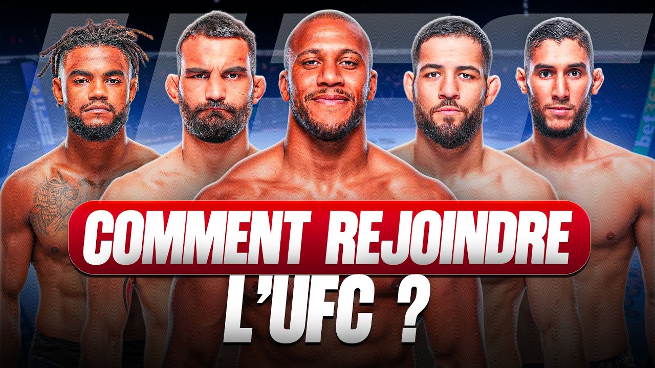 How to Become a UFC Fighter? (REPORT)