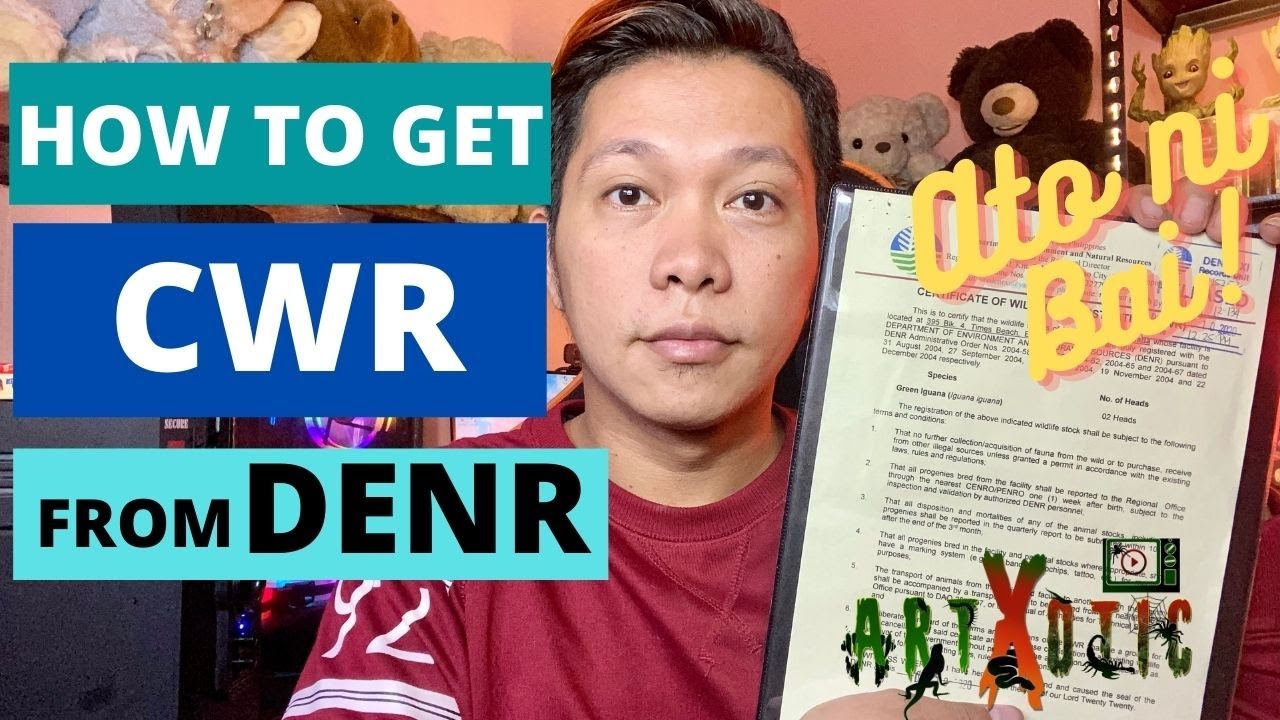 HOW TO GET CWR From DENR