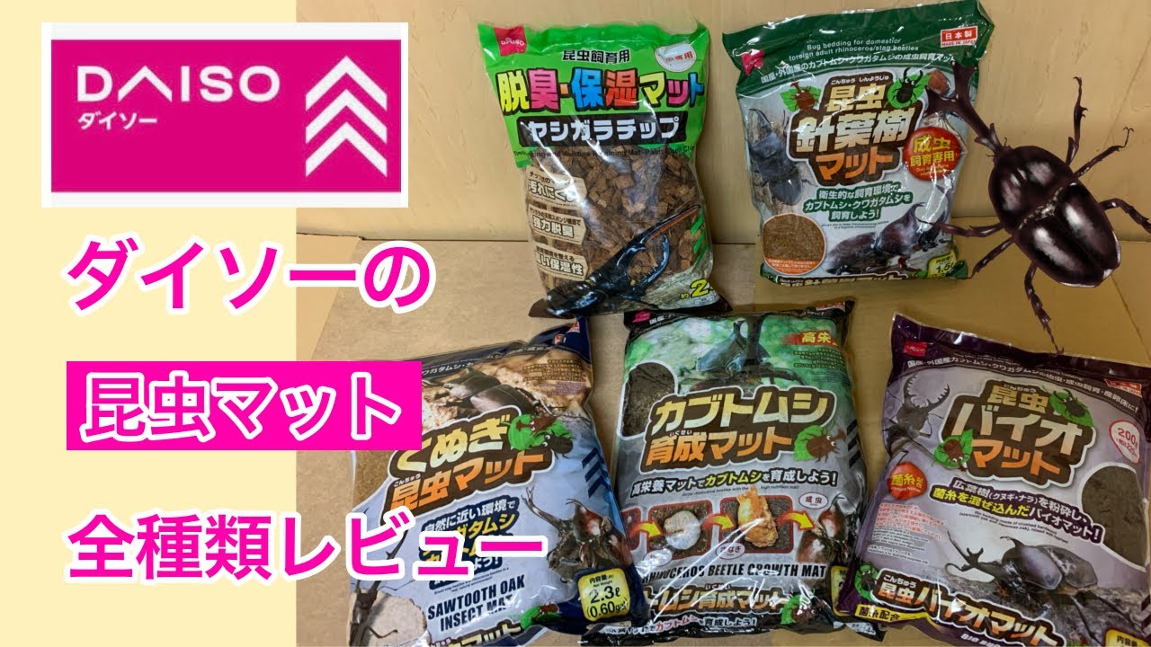 【100均】2022年版 ダイソーの昆虫マット全種類を詳細レビューしてみた【カブトムシ・クワガタ】