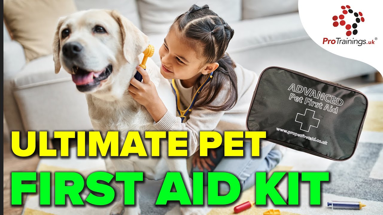 Advanced Pet First Aid Kits: Features & Customization Explained