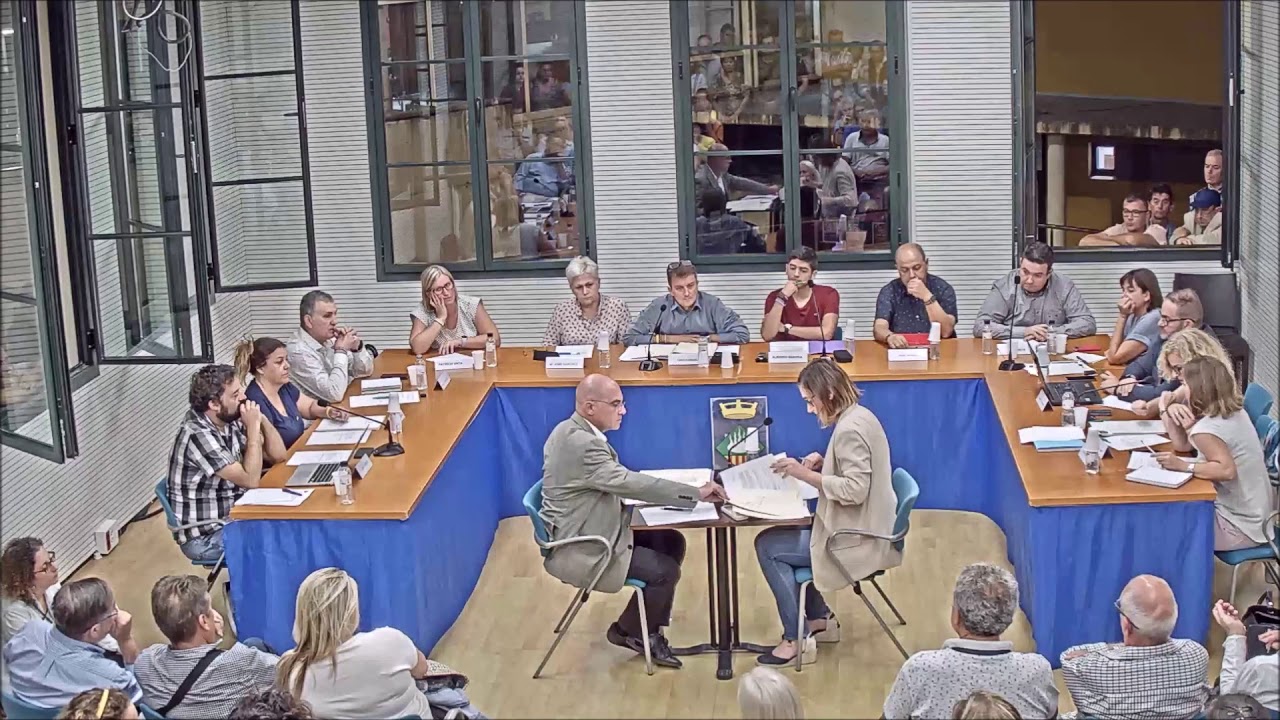 PLE ORDINARI 8 d'Octubre de 2019