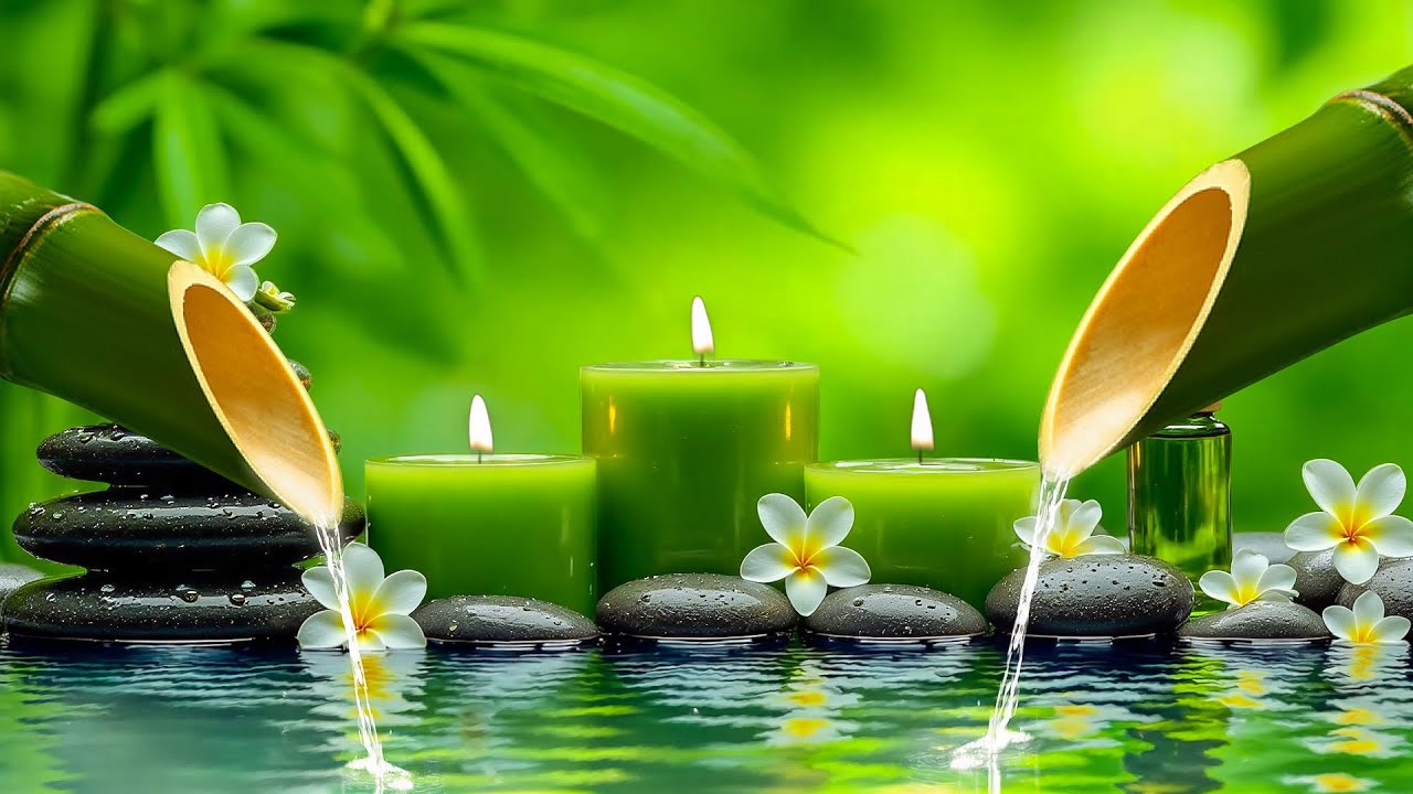 Soothing Relaxing Piano Music 🌿 Deep Sleep Meditation, Relieve Stress, Heal the Mind and Body