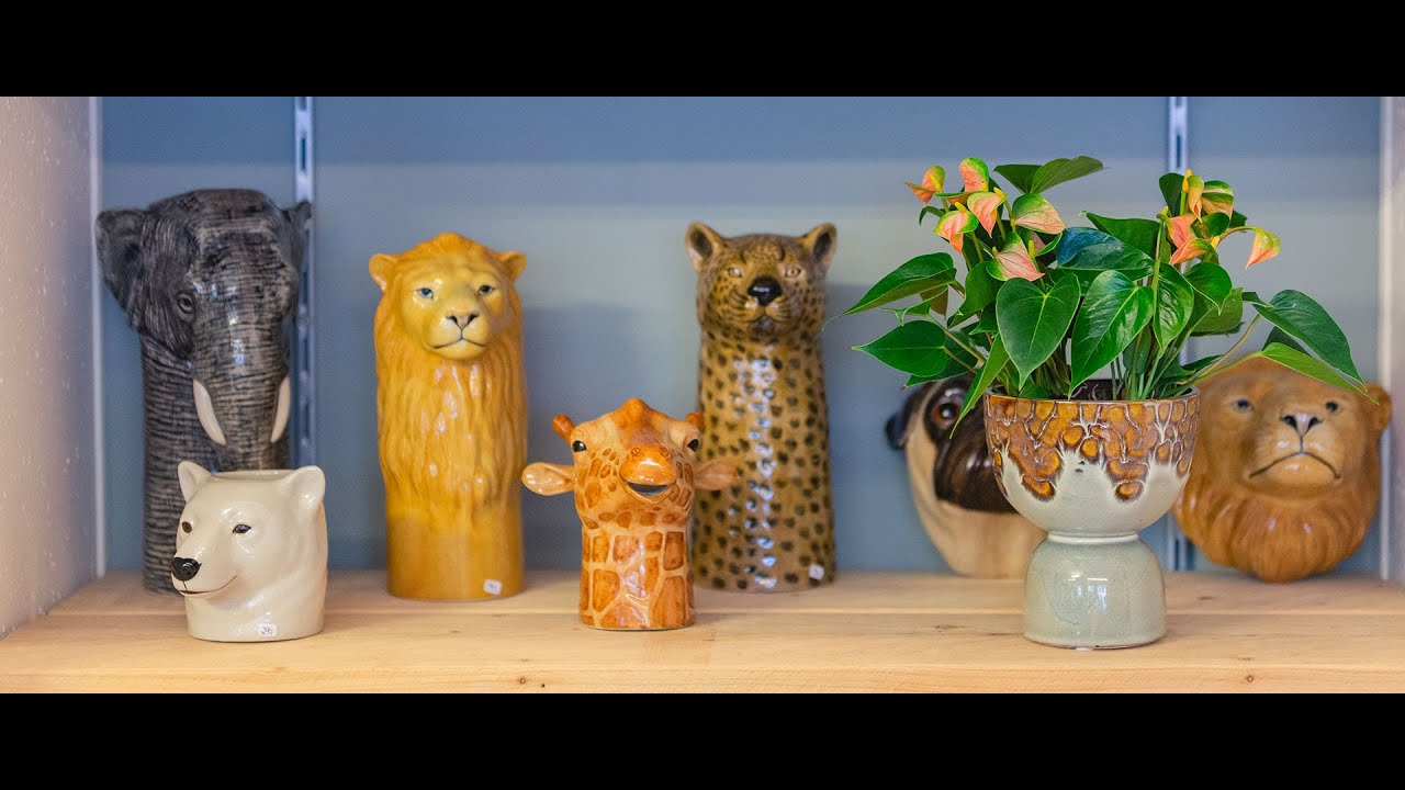 Cinefleur Berlin - Amazing popping Mini Anthurium 2