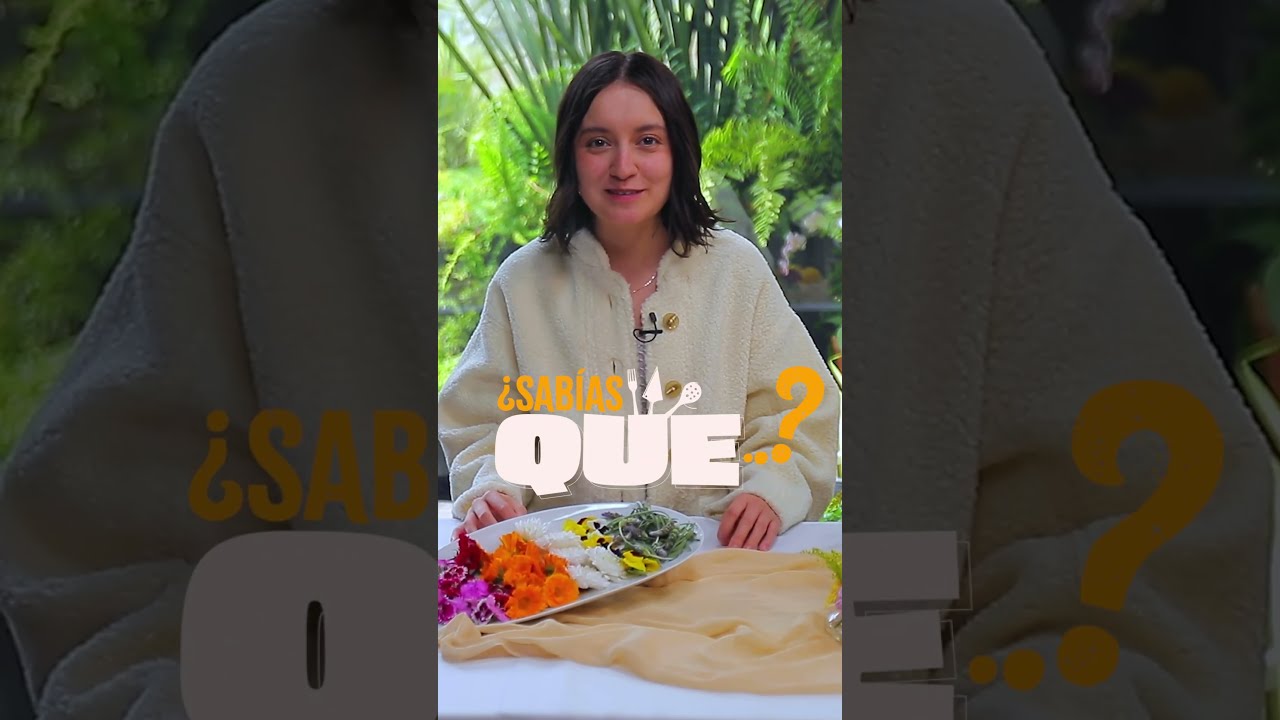 &iquest;Cu&aacute;les flores son comestibles? Identifica cu&aacute;les puedes comer y c&oacute;mo usarlas