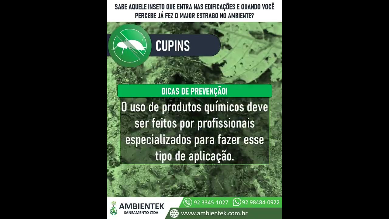 Controle Integrado de Pragas | CUPIM