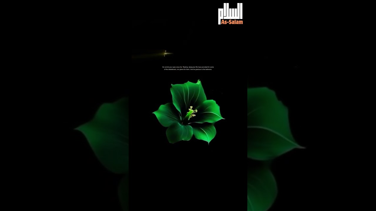 Quran Recitation