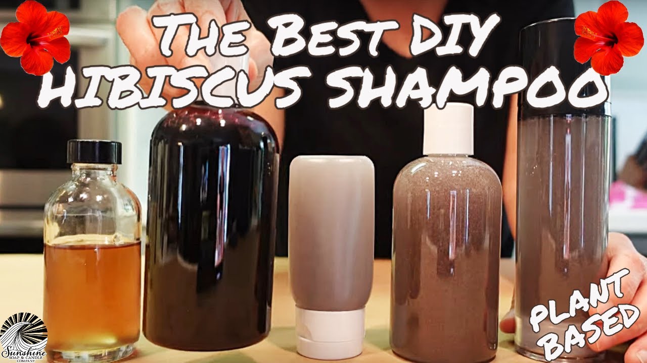 HOW TO MAKE SHAMPOO~HIBISCUS SHAMPOO DOES WONDERS FOR DRY HAIR!