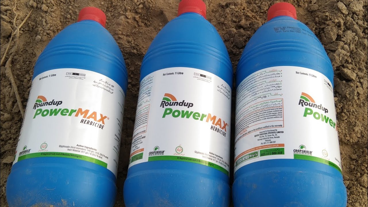 Glyphosate Spray Cotton field Roundup By Bayer