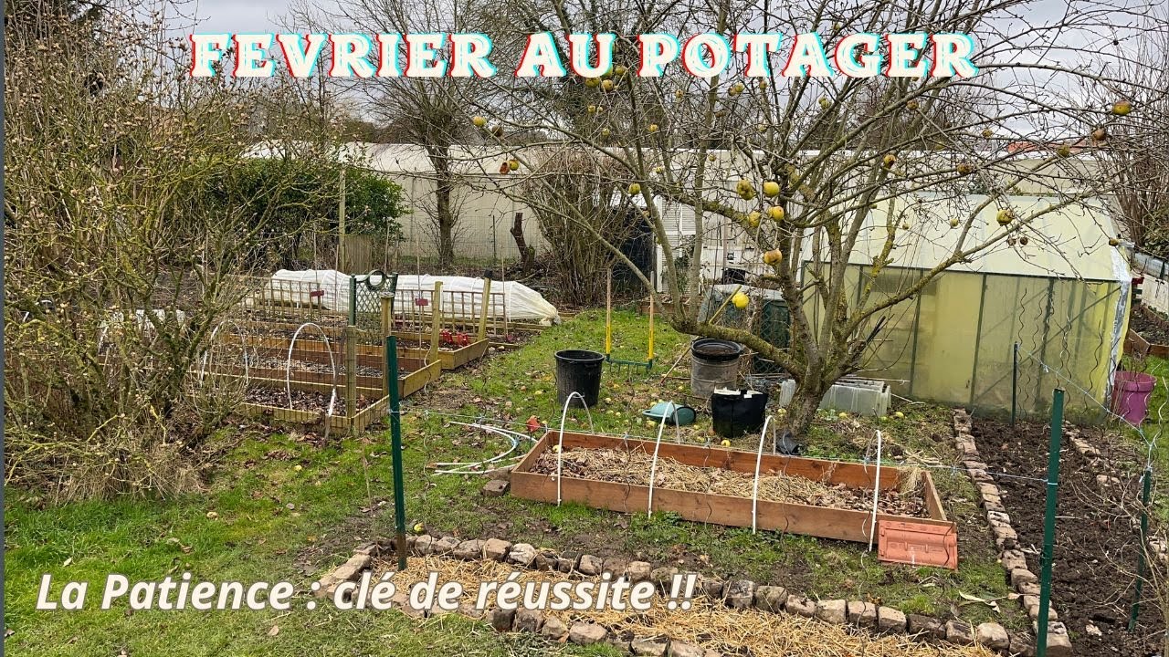 La Patience au Potager : Clé de réussite !!