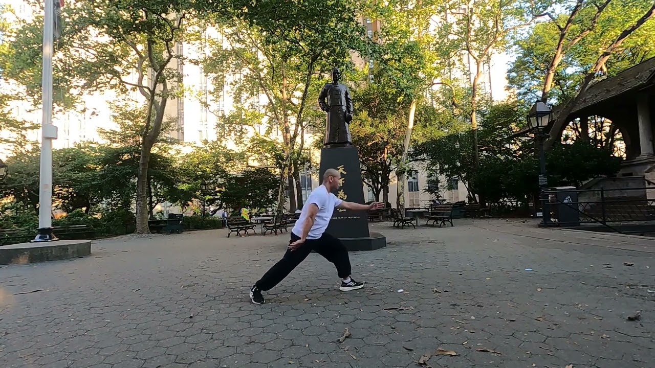 37 Posture Taiji