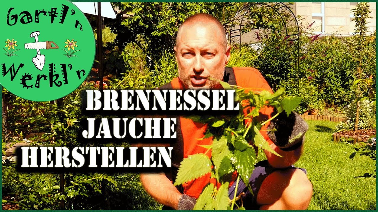 Brennesseljauche selbermachen ganz einfach und unkompliziert