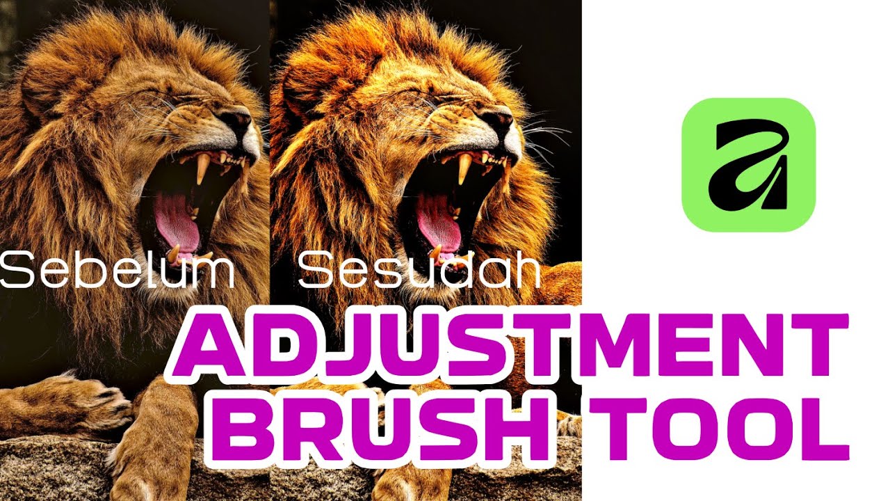 Tutorial Affinity Canva, Cara Mengedit Foto Pakai Adjustment  Brush Tool