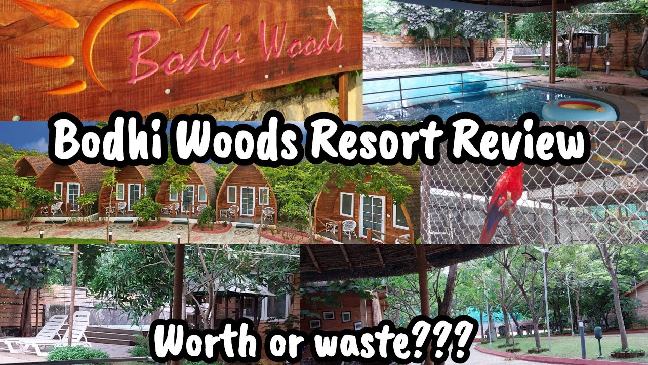 Bodhi woods resort review for you | Resort in mahabalipuram | Birds Aviary resort with stay