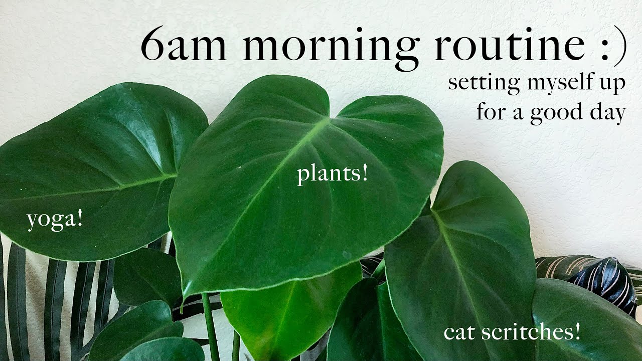 my productive 6am morning routine: how to have a good day :) // Kaylee Sulz